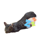 フィガロ（個別スタンプ：4）