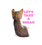 フィガロ（個別スタンプ：7）