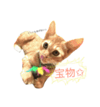 保護猫すたんぷ 2（個別スタンプ：4）