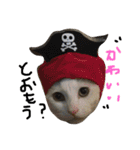 保護猫すたんぷ 2（個別スタンプ：26）