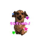 こうめみん（個別スタンプ：1）
