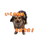 こうめみん（個別スタンプ：3）