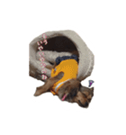 こうめみん（個別スタンプ：4）