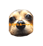 こうめみん（個別スタンプ：7）