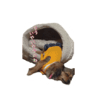 こうめみん（個別スタンプ：10）