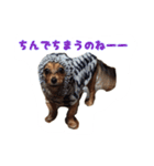 こうめみん（個別スタンプ：11）
