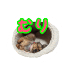 こうめみん（個別スタンプ：17）