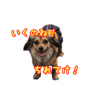 こうめみん（個別スタンプ：21）