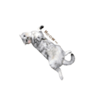 We are cats brother（個別スタンプ：13）