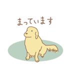 ゴールデンのラブちゃん（個別スタンプ：3）