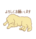 ゴールデンのラブちゃん（個別スタンプ：7）