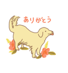 ゴールデンのラブちゃん（個別スタンプ：9）