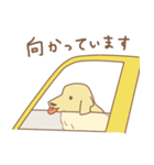 ゴールデンのラブちゃん（個別スタンプ：11）