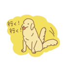 ゴールデンのラブちゃん（個別スタンプ：20）