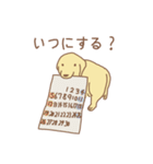 ゴールデンのラブちゃん（個別スタンプ：21）