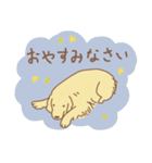 ゴールデンのラブちゃん（個別スタンプ：30）