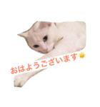 runa＆crowa（個別スタンプ：1）