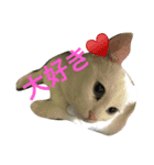 runa＆crowa（個別スタンプ：3）