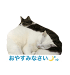 runa＆crowa（個別スタンプ：4）