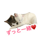 runa＆crowa（個別スタンプ：7）