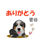 菅谷さん用の名前スタンプ・子犬イラスト（個別スタンプ：3）