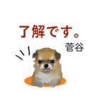 菅谷さん用の名前スタンプ・子犬イラスト（個別スタンプ：4）