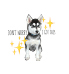 ヒロTHEポンスキー〜子犬編第1弾〜（個別スタンプ：7）