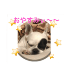 ブサカワ ARUkun（個別スタンプ：32）
