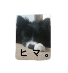 monkun（個別スタンプ：2）