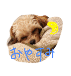 まりん、ちわぷー（個別スタンプ：6）
