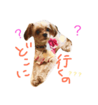 まりん、ちわぷー（個別スタンプ：9）