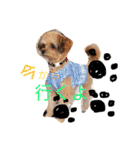 まりん、ちわぷー（個別スタンプ：14）