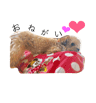 まりん、ちわぷー（個別スタンプ：15）