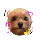 まりん、ちわぷー（個別スタンプ：18）
