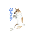 アル＆きなこ 1（個別スタンプ：6）