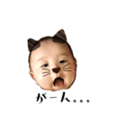 さくねこシリーズ★（個別スタンプ：2）