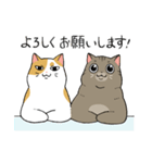 お豆な猫たち「だいず＆あずき」（個別スタンプ：3）