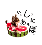 エマたん（個別スタンプ：4）