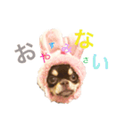 エマたん（個別スタンプ：16）