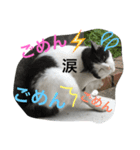 たまちゃんの毎日（個別スタンプ：3）