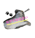 たまちゃんの毎日（個別スタンプ：7）