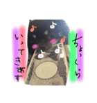 わち、チワワやねん（個別スタンプ：11）