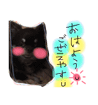 わち、チワワやねん（個別スタンプ：12）