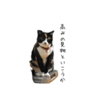 P-stamp 第2弾（個別スタンプ：11）