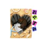 わんちゃんとニャンちゃん♥（個別スタンプ：3）