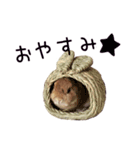 うさぎのはにーちゃん（個別スタンプ：9）