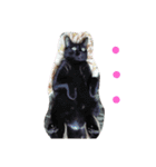 ろろにこにゃん（個別スタンプ：5）