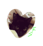 ろろにこにゃん（個別スタンプ：22）
