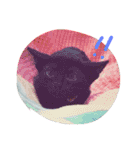 ろろにこにゃん（個別スタンプ：25）