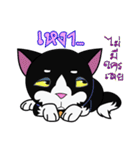 KURO : MORE EMO MEOW（個別スタンプ：7）